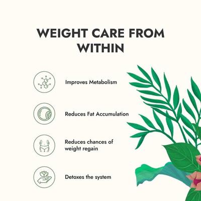 Kapiva Weight Wise Foods Get Slim Green Tea Bag 30's - Weight Loss