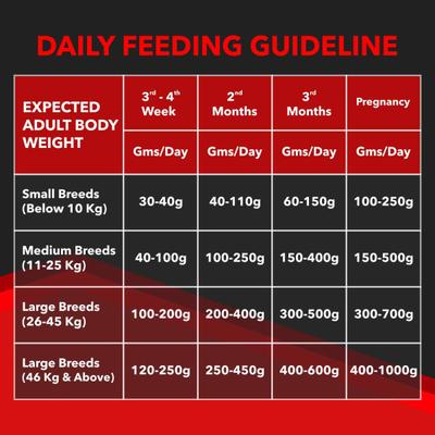 Drools Focus Starter Super Premium Dog Food 1200 gm - Petfood