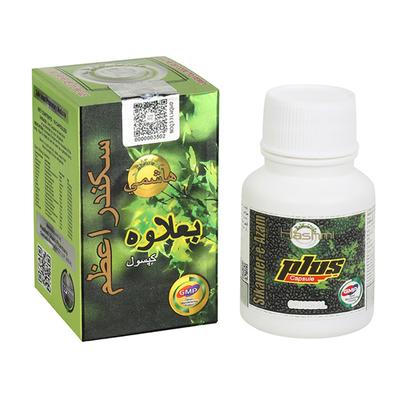 Hashmi Sikander-e-Azam Plus Capsule 10's - Hashmi