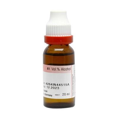 Dr. Reckeweg Kalmegh Q Andrographis Paniculata Liquid 20 ml - Mother Tincture