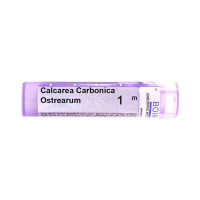 Boiron Calcarea Carbonica Ostrearum 1M Multi Dose PELLETS 4 GM - Triturations (Homeo Tablets)