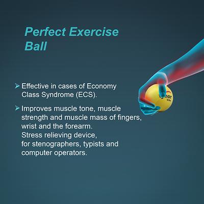 Tynor Exercising Ball - Ortho (H 05) - Abdomen/Neck/Arm/Elbow Supports