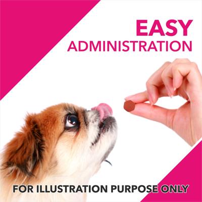 Drools Absolute Skin + Coat Tablet- Dog Supplement 50's - Petfood
