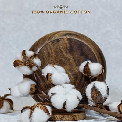 Pee Safe 100% Organic Cotton Biodegradable Sanitary Pads (Regular) 10's - Sanitary Napkins