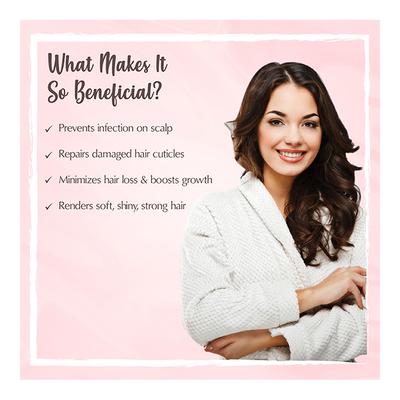 The Beauty Co. Hair Shampoo - Onion Oil with Fenugreek 300 ml - Shampoos