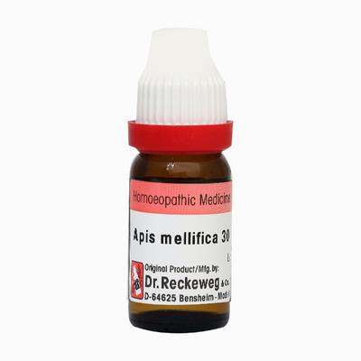 Dr. Reckeweg Apis Mellifica 30 Liquid 11 ml - Dilutions