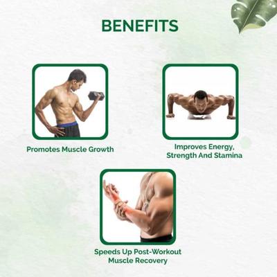 Dr. Vaidya's Herbobuild Capsule 30's - Speciality Medicines