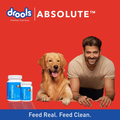 Drools Absolute Vitamin Tablet- Dog Supplement 110's - Petfood