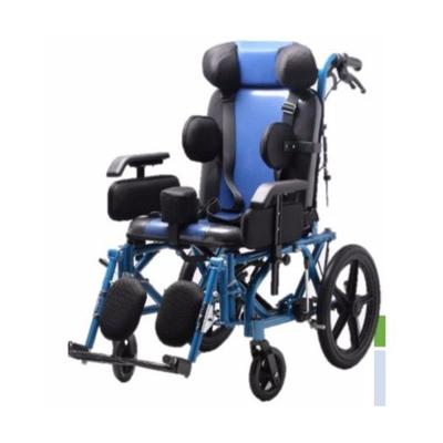 Karma CP 200 Multifunction Wheelchair - Walker & Walking Stick