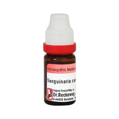 Dr. Reckeweg Sanguinaria Canadensis 30 Liquid 11 ml - Dilutions