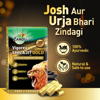 Zandu Vigorex Shilajit Gold Capsule 10's (Free 2-Capsules) - Sexual Healthcare