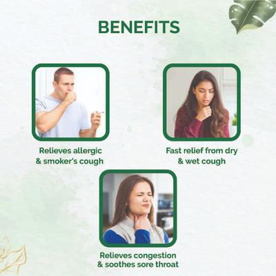 Dr. Vaidya's Tulsi- Ginger Cough Syrup (Pack of 4 x 100 ml) - Cough & Cold (Ayush)