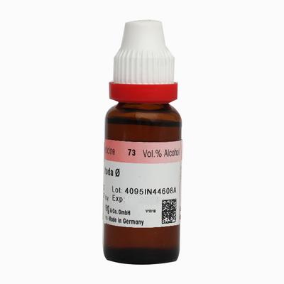 Dr. Reckeweg Justicea Adhatoda Q Liquid 20 ml - Mother Tincture