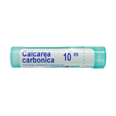 Boiron Calcarea Carbonica Ostrearum 10M Multi Dose PELLETS 4 GM - Triturations (Homeo Tablets)