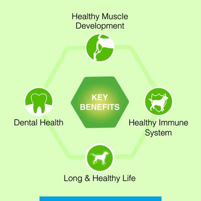 Canine Creek Adult Dog Food, Ultra Premium 1200 gm - Petfood
