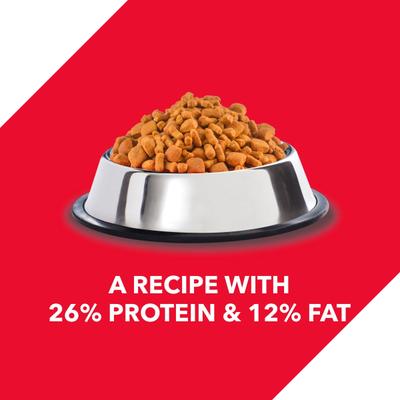 Drools Chicken and Egg Puppy Dog Food 3kg (with Free 1.2kg) 4200 gm - Petfood