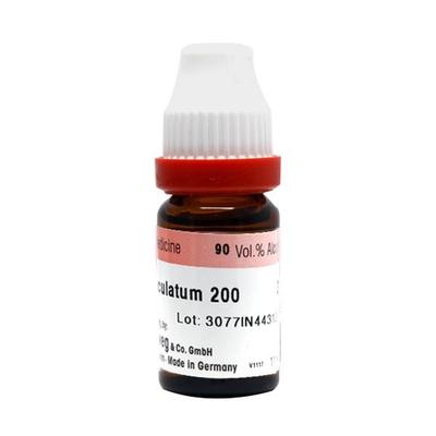 Dr. Reckeweg Conium Maculatum 200 Liquid 11 ml - Dilutions