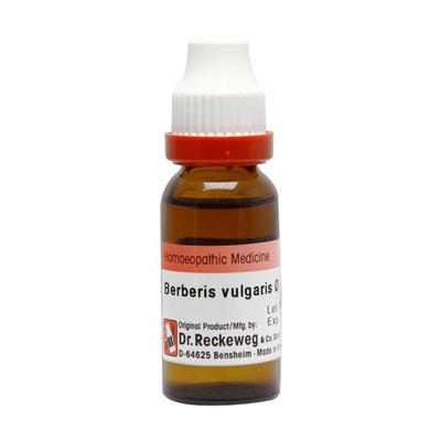 Dr. Reckeweg Berberis Vulgaris Q Liquid 20 ml - Mother Tincture