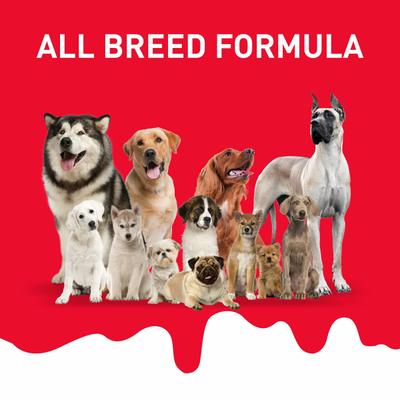 Drools Absolute Milk Bone Jar, Dog Treats - NEW 20's - Petfood