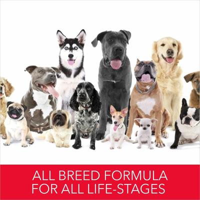 Drools Absolute Calcium Bone Pouch 190 gm - Petfood