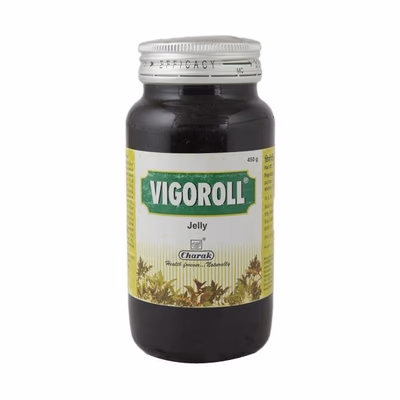Vigoroll Jelly 450G - Speciality Medicines