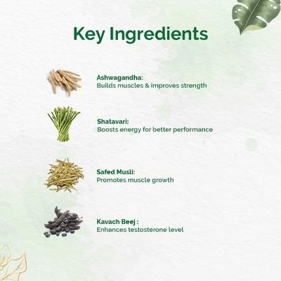 Dr. Vaidya's Herbobuild Capsule (Pack of 2 x 50's) - Speciality Medicines