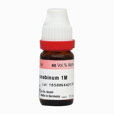 Dr. Reckeweg Apocynum Cannabinum 1M Liquid 11 ml - Dilutions