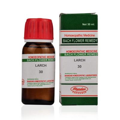 Bhandari Bach Flower Larch 30 Liquid 30 ml - Bach Flower