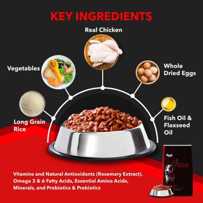 Drools Focus Starter Super Premium Dog Food 1200 gm - Petfood