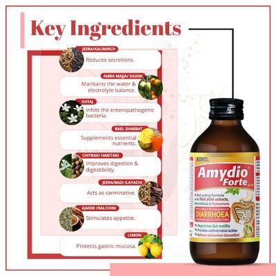Aimil Amydio Forte Syrup (Pack of 2 x 100 ml) - Digestive Care
