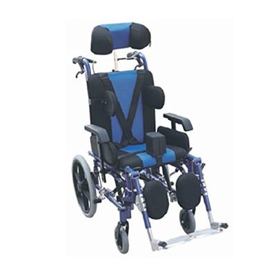 Karma CP 200 Multifunction Wheelchair - Walker & Walking Stick
