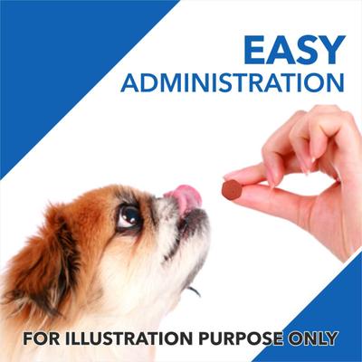 Drools Absolute Vitamin Tablet- Dog Supplement 110's - Petfood
