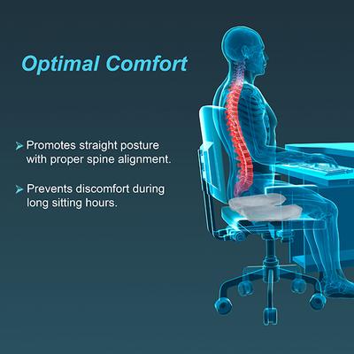 Tynor Ortho Cushion Seat (UN) (H 23) - Others Ortho Supports