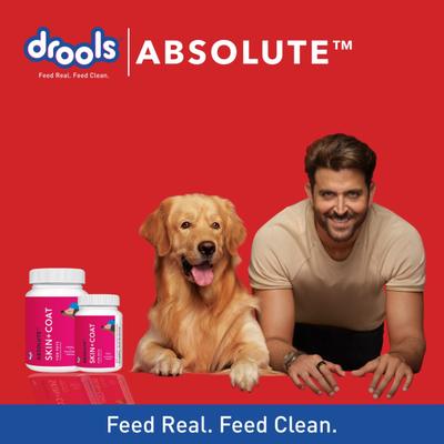 Drools Absolute Skin + Coat Tablet- Dog Supplement 50's - Petfood