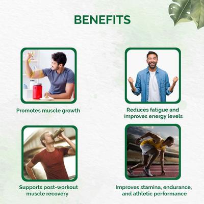 Dr. Vaidya's Herbobuild Capsule (Pack of 2 x 50's) - Speciality Medicines