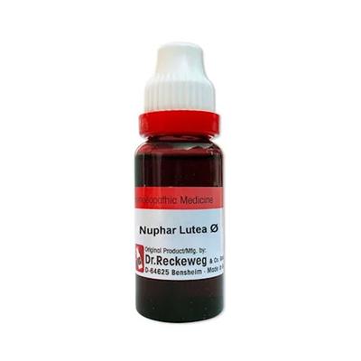 Dr. Reckeweg Nuphar Luteum Q Liquid 20 ml - Mother Tincture