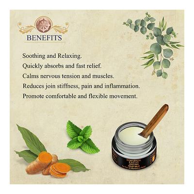 Bioayurveda Basics Joint Pain Relief Balm 20 gm - Balm/Ointments