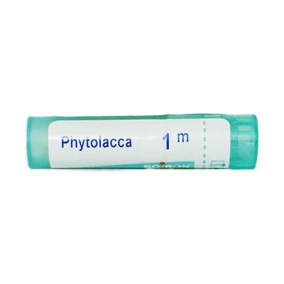 Boiron Phytolacca 1M Multi Dose PELLETS 4 GM - Speciality Medicine