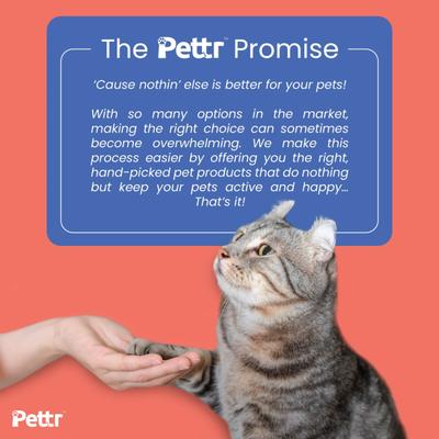 Pettr Cat Fishing Wand Toy 1's - Pet accessories