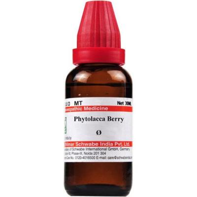 Dr.Willmar Schwabe Phytolacca Berry Ø Drops 30 ml - Mother Tincture