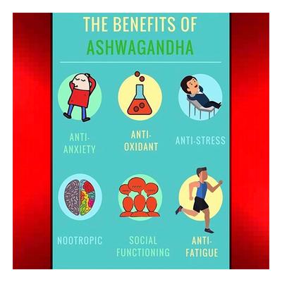 Vubasil Ashwagandha 800 mg Capsule (Pack of 5 x 60's) - Ashwagandha