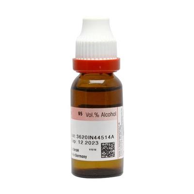 Dr. Reckeweg Ginseng Ø Liquid 20 ml - Mother Tincture