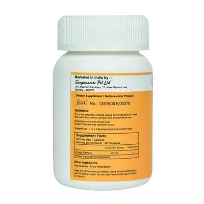 Fin Chaga (Chaga Extract) Vegetarian Capsules 60'S - Vitamin C