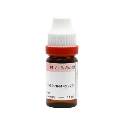 Dr. Reckeweg Ratanhia 200 Liquid 11 ml - Dilutions
