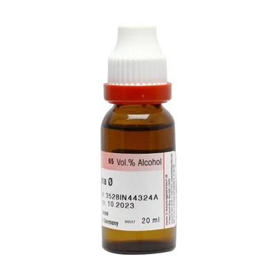 Dr. Reckeweg Fraxinus Americana Q Liquid 20 ml - Mother Tincture