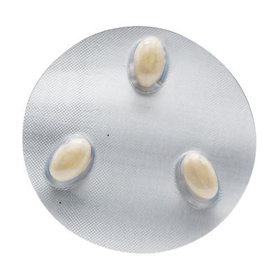 FEMICLO V Suppositorie 3's - Fungal Infections-Anf