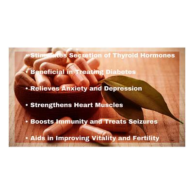 Vubasil Ashwagandha 800 mg Capsule (Pack of 3 x 60's) - Ashwagandha