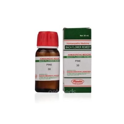 Bhandari Bach Flower Pine 30 Liquid 30 ml - Bach Flower