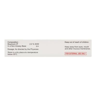 MUPICOAT Ointment 5gm - Skin Infections-Toa