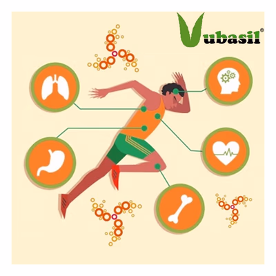 Vubasil Ashwagandha 800 mg Capsule 60's - Ashwagandha